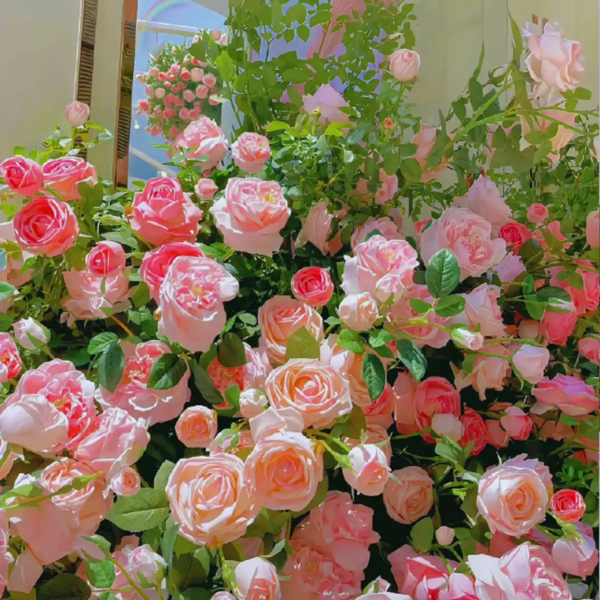 Sementes De Rosas Trepadeiras Com Cores Variadas 300 unidades