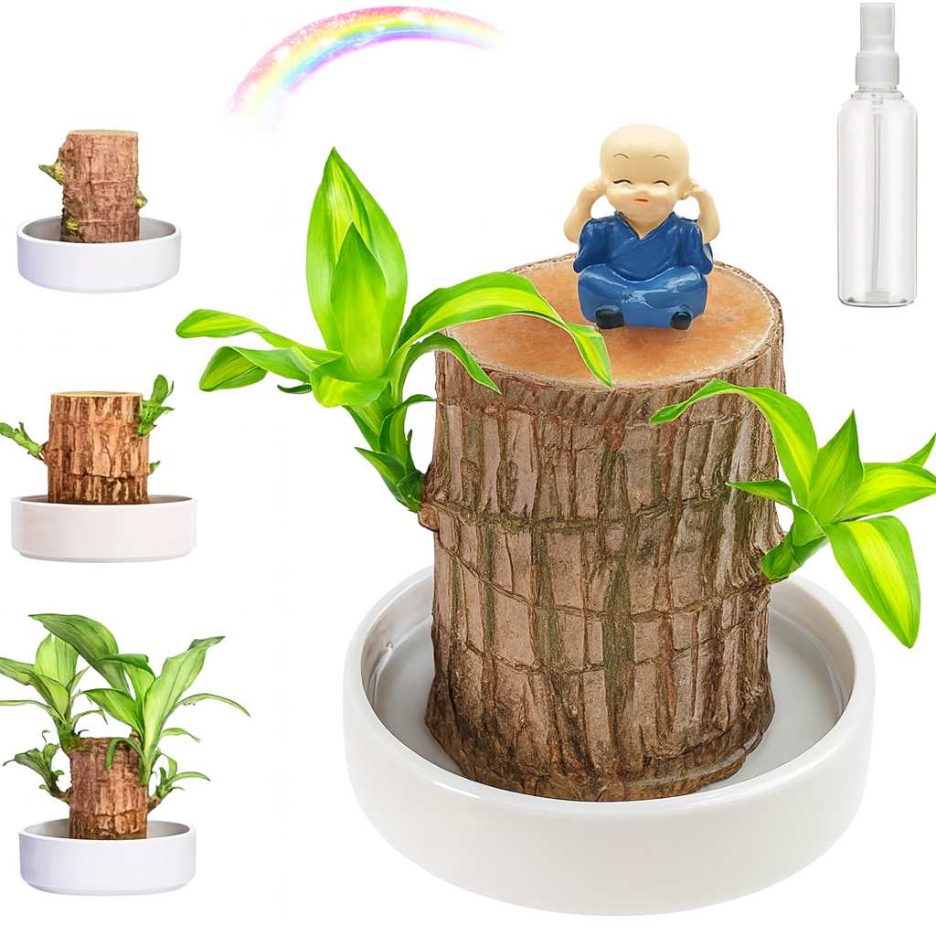 Madeira Brasil Planta da Sorte + Monge de Brinde (COMPRE 1 LEVE 2)