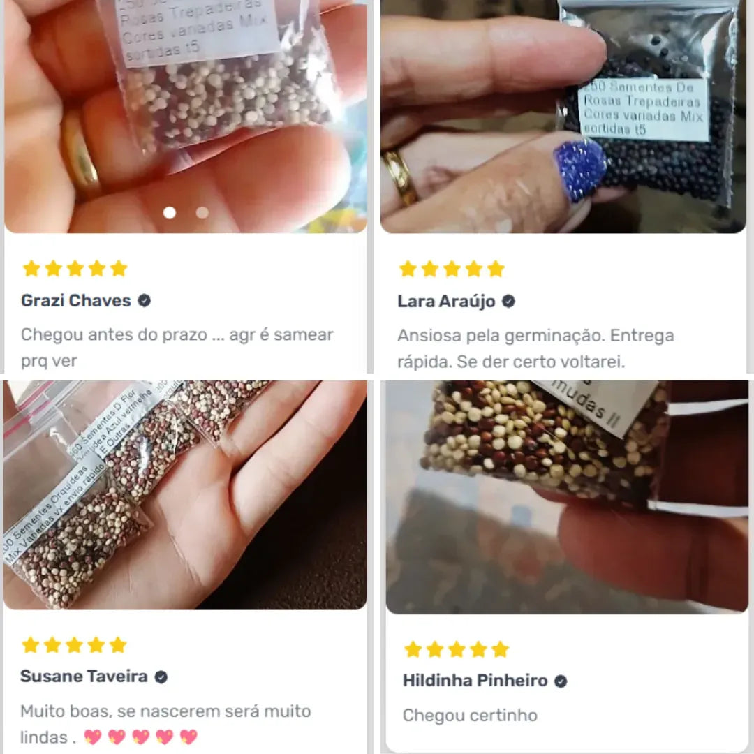 Sementes De Rosas Trepadeiras Com Cores Variadas 300 unidades