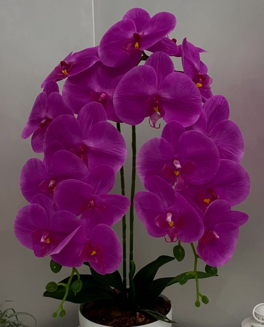 Orquídea Artificial com Jarro - 59cm